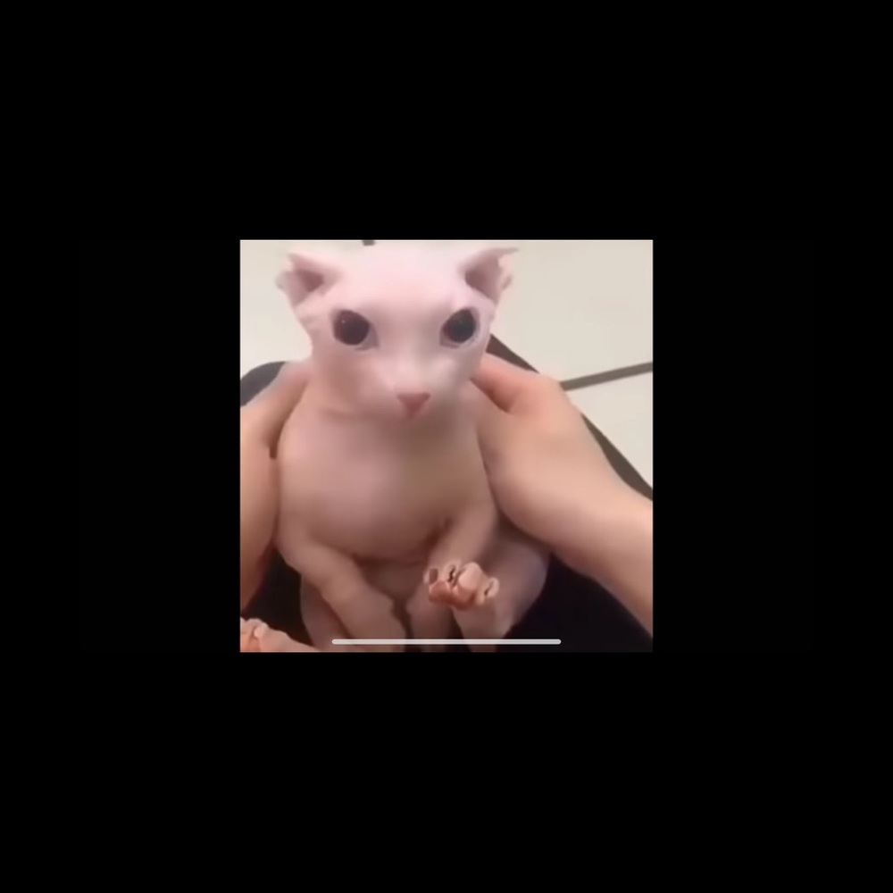 Meet your Posher, Marlen